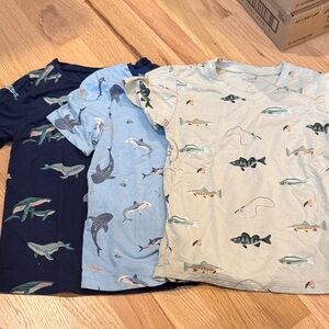 Kyte BABY Toddler Tees bundle of 3